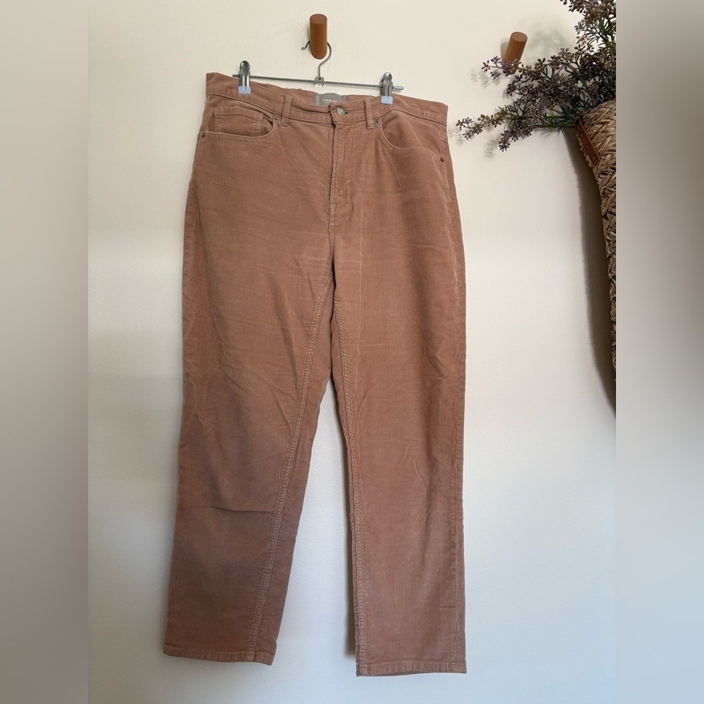 Everlane cropped brown tan corduroy pants  31/26 $138